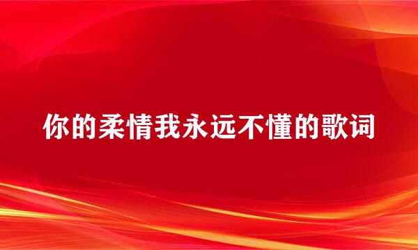 你的柔情我永远不懂的歌词