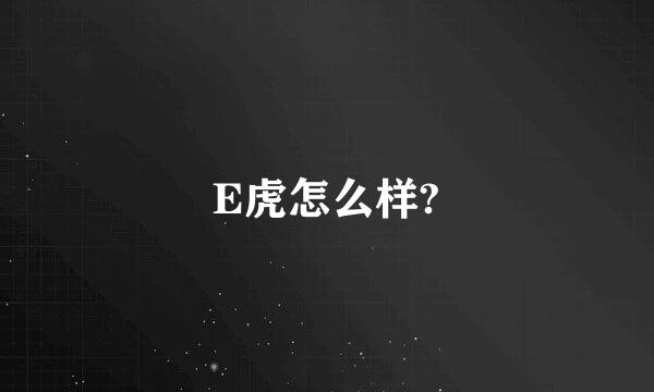 E虎怎么样?