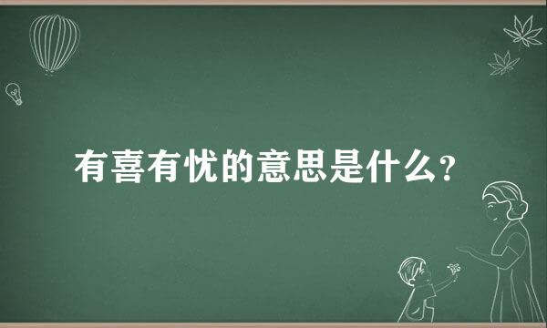 有喜有忧的意思是什么？