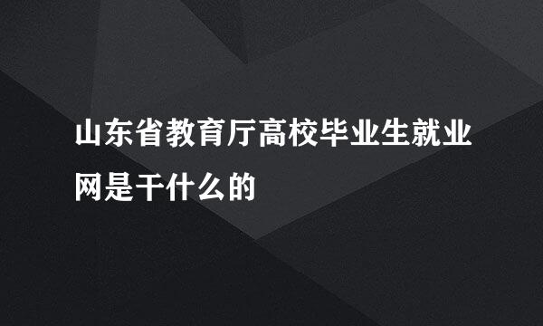 山东省教育厅高校毕业生就业网是干什么的