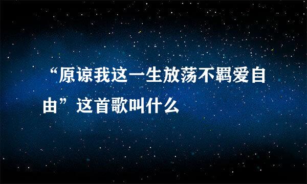 “原谅我这一生放荡不羁爱自由”这首歌叫什么