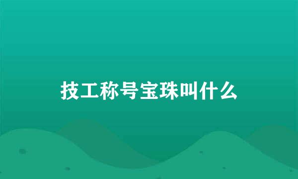 技工称号宝珠叫什么