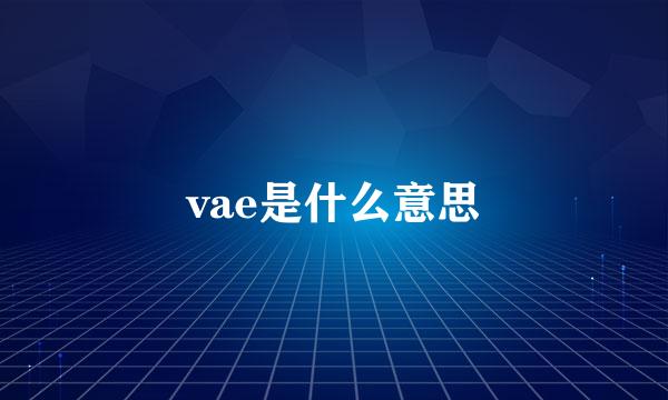 vae是什么意思