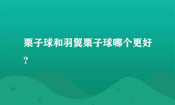 栗子球和羽翼栗子球哪个更好?