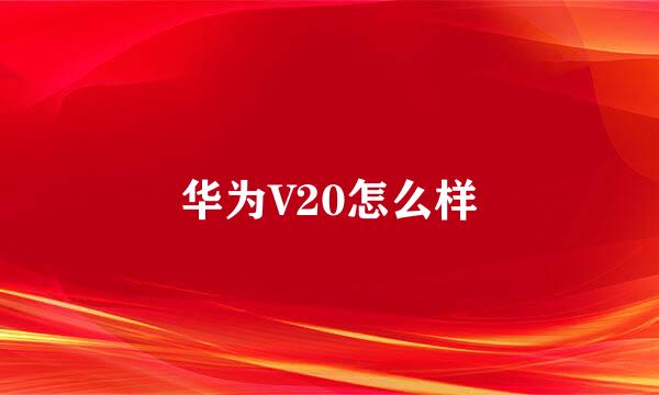 华为V20怎么样