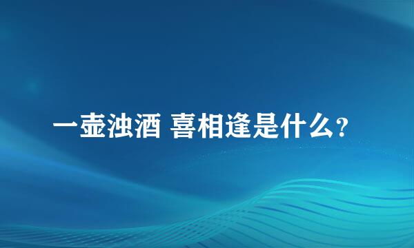 一壶浊酒 喜相逢是什么？