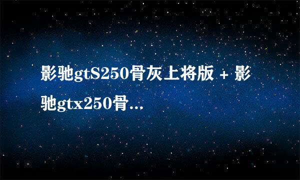 影驰gtS250骨灰上将版 + 影驰gtx250骨灰上将版