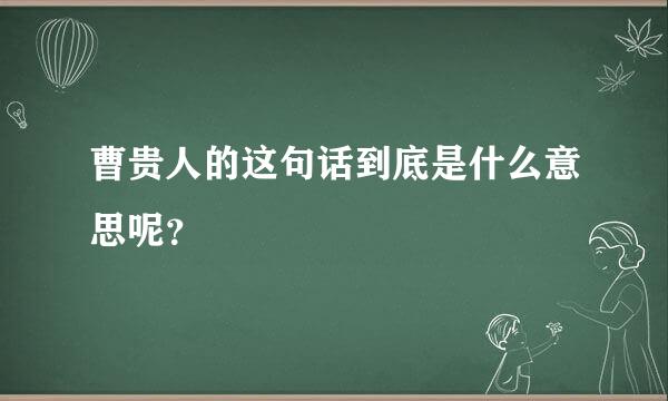 曹贵人的这句话到底是什么意思呢？