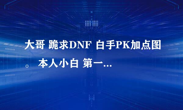 大哥 跪求DNF 白手PK加点图。 本人小白 第一次玩白手！一定要PK的 不要刷图的！