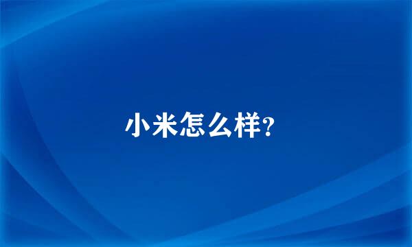 小米怎么样？