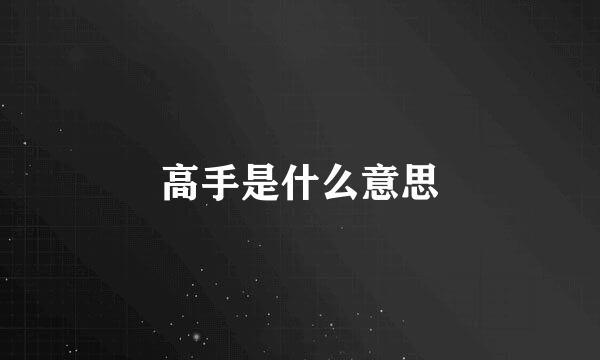 高手是什么意思