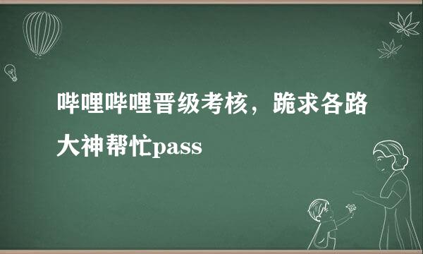 哔哩哔哩晋级考核，跪求各路大神帮忙pass