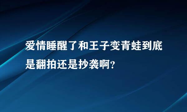 爱情睡醒了和王子变青蛙到底是翻拍还是抄袭啊？