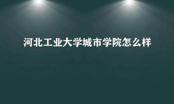 河北工业大学城市学院怎么样