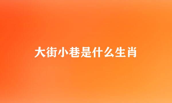 大街小巷是什么生肖