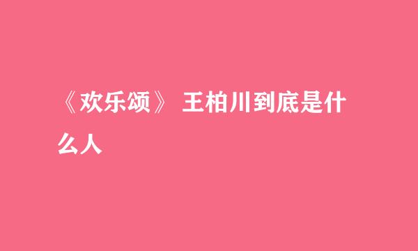 《欢乐颂》 王柏川到底是什么人