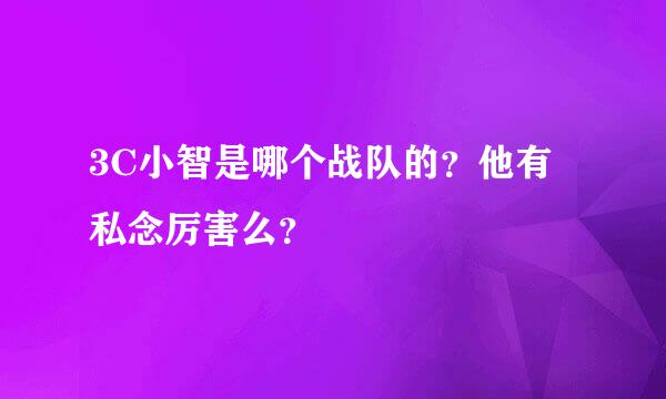 3C小智是哪个战队的？他有私念厉害么？