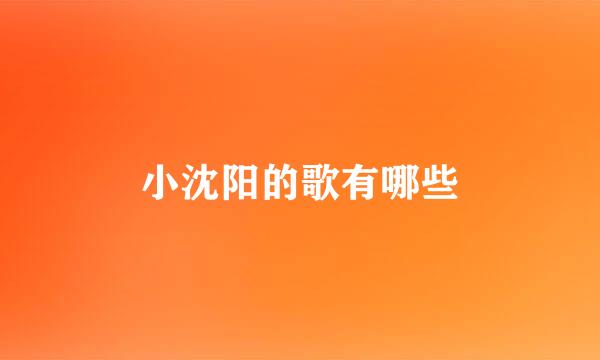 小沈阳的歌有哪些