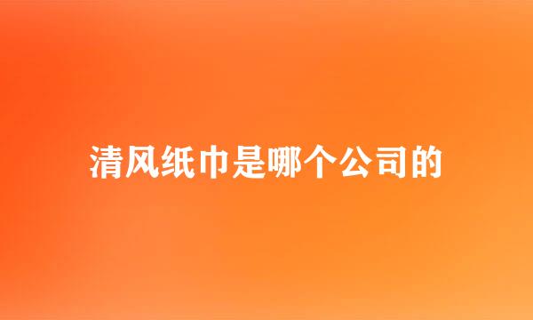 清风纸巾是哪个公司的