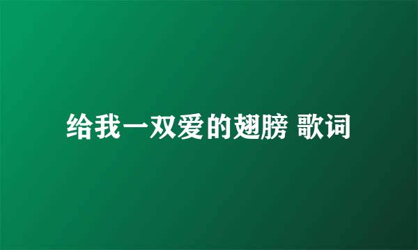 给我一双爱的翅膀 歌词