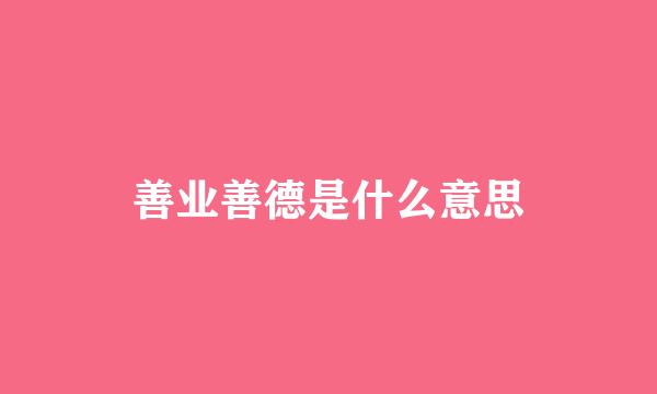 善业善德是什么意思