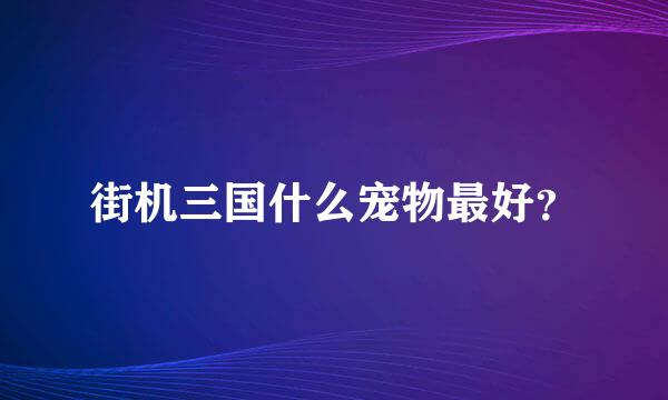 街机三国什么宠物最好？