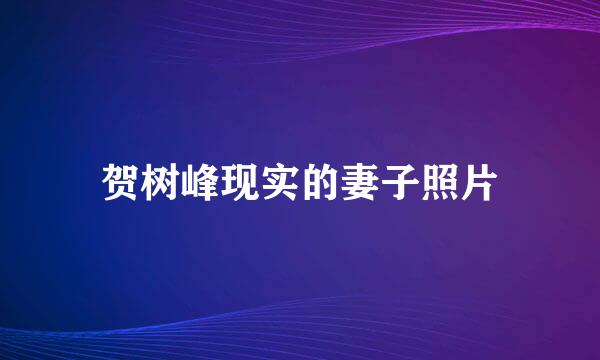 贺树峰现实的妻子照片