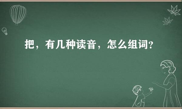 把，有几种读音，怎么组词？