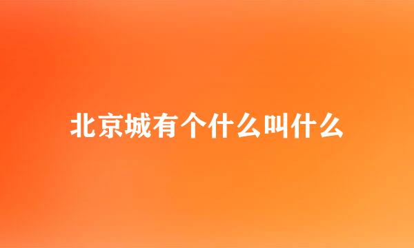 北京城有个什么叫什么