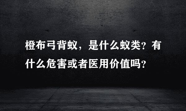 橙布弓背蚁，是什么蚁类？有什么危害或者医用价值吗？