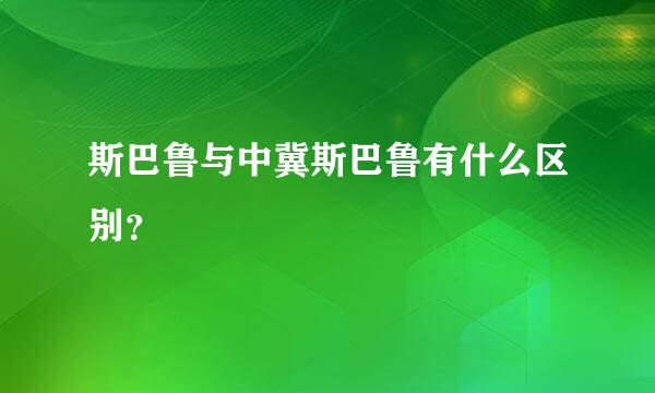 斯巴鲁与中冀斯巴鲁有什么区别？