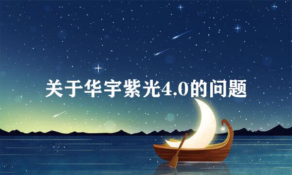 关于华宇紫光4.0的问题