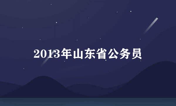 2013年山东省公务员