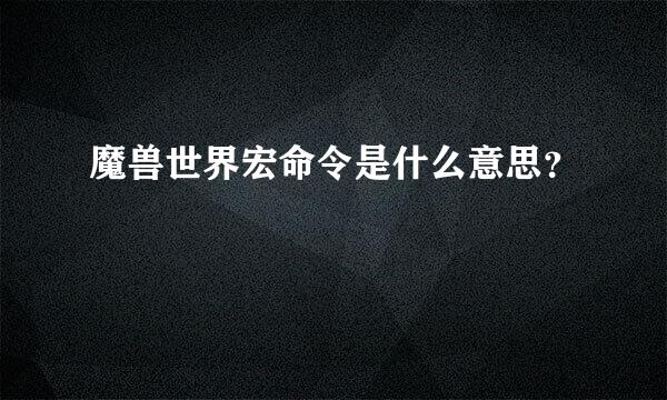 魔兽世界宏命令是什么意思？