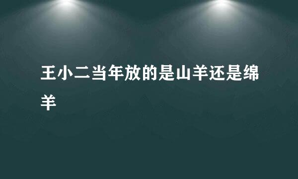 王小二当年放的是山羊还是绵羊