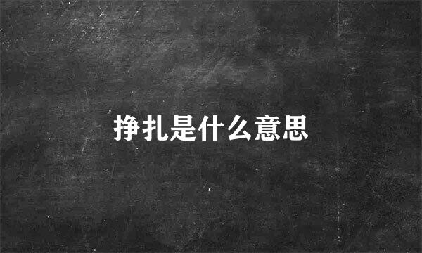 挣扎是什么意思