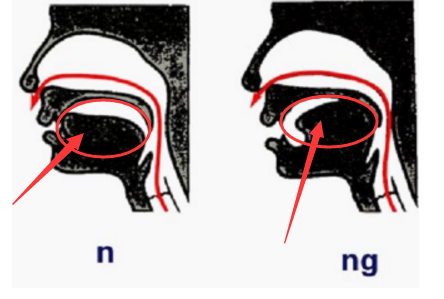前鼻音和后鼻音怎么区分