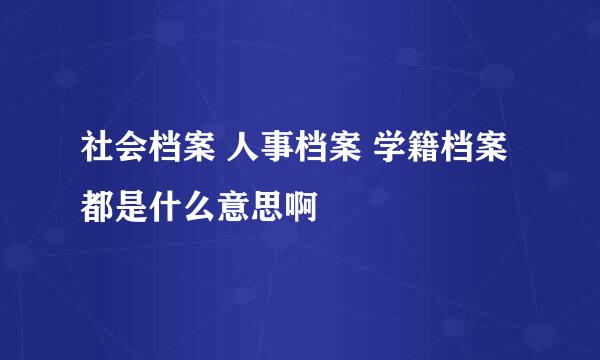 社会档案 人事档案 学籍档案都是什么意思啊