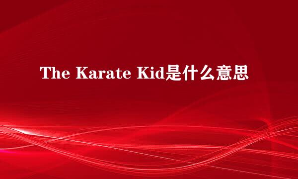 The Karate Kid是什么意思