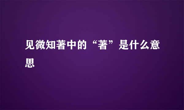 见微知著中的“著”是什么意思