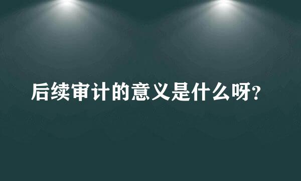 后续审计的意义是什么呀？