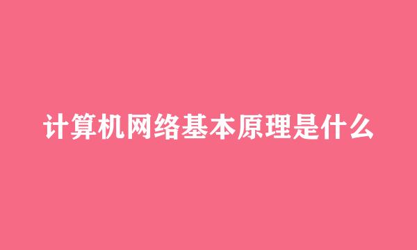 计算机网络基本原理是什么