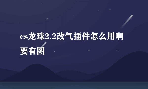 cs龙珠2.2改气插件怎么用啊要有图