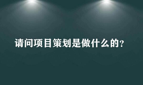 请问项目策划是做什么的？