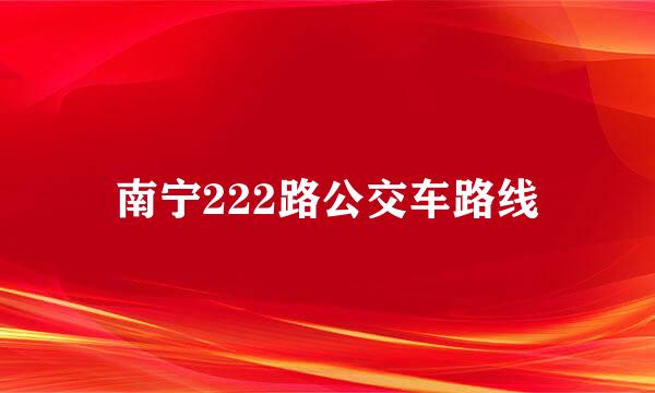 南宁222路公交车路线