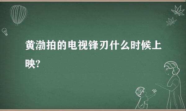 黄渤拍的电视锋刃什么时候上映?