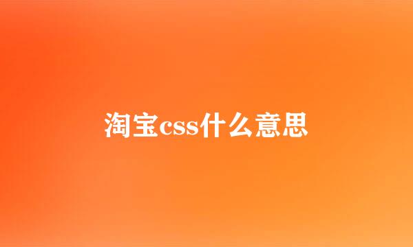 淘宝css什么意思