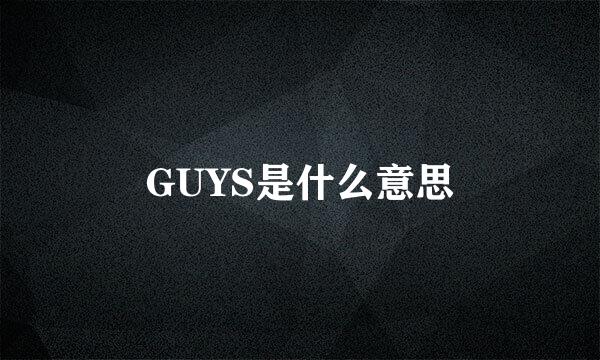 GUYS是什么意思