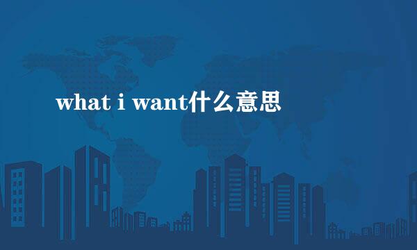 what i want什么意思