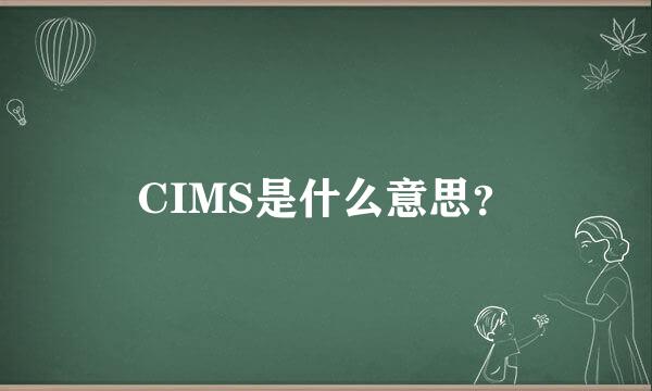 CIMS是什么意思？